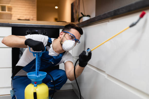 Best Best Pest Control Companies  in Whitefish Bay, WI