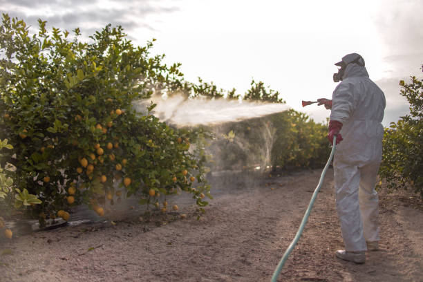 Best Insect Control  in Whitefish Bay, WI
