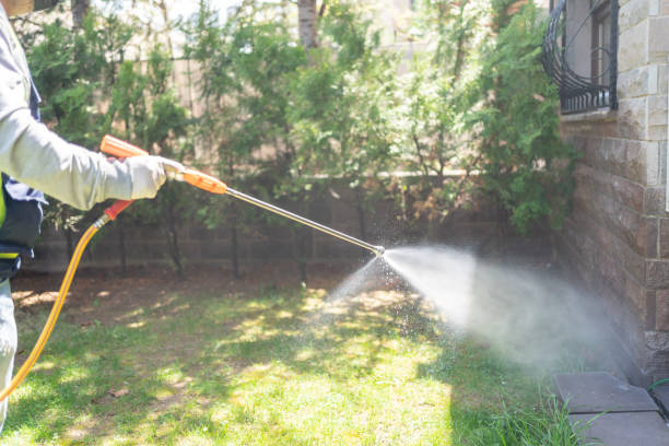 Best Termite Control Services  in Whitefish Bay, WI