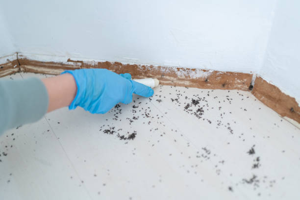 Best Mosquito Control Services  in Whitefish Bay, WI