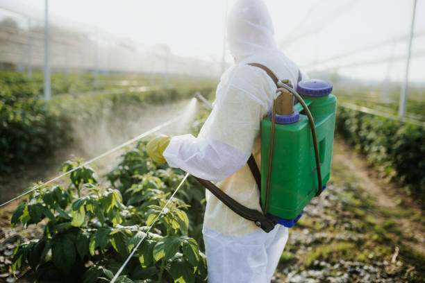 Pest Control Cost in Whitefish Bay, WI